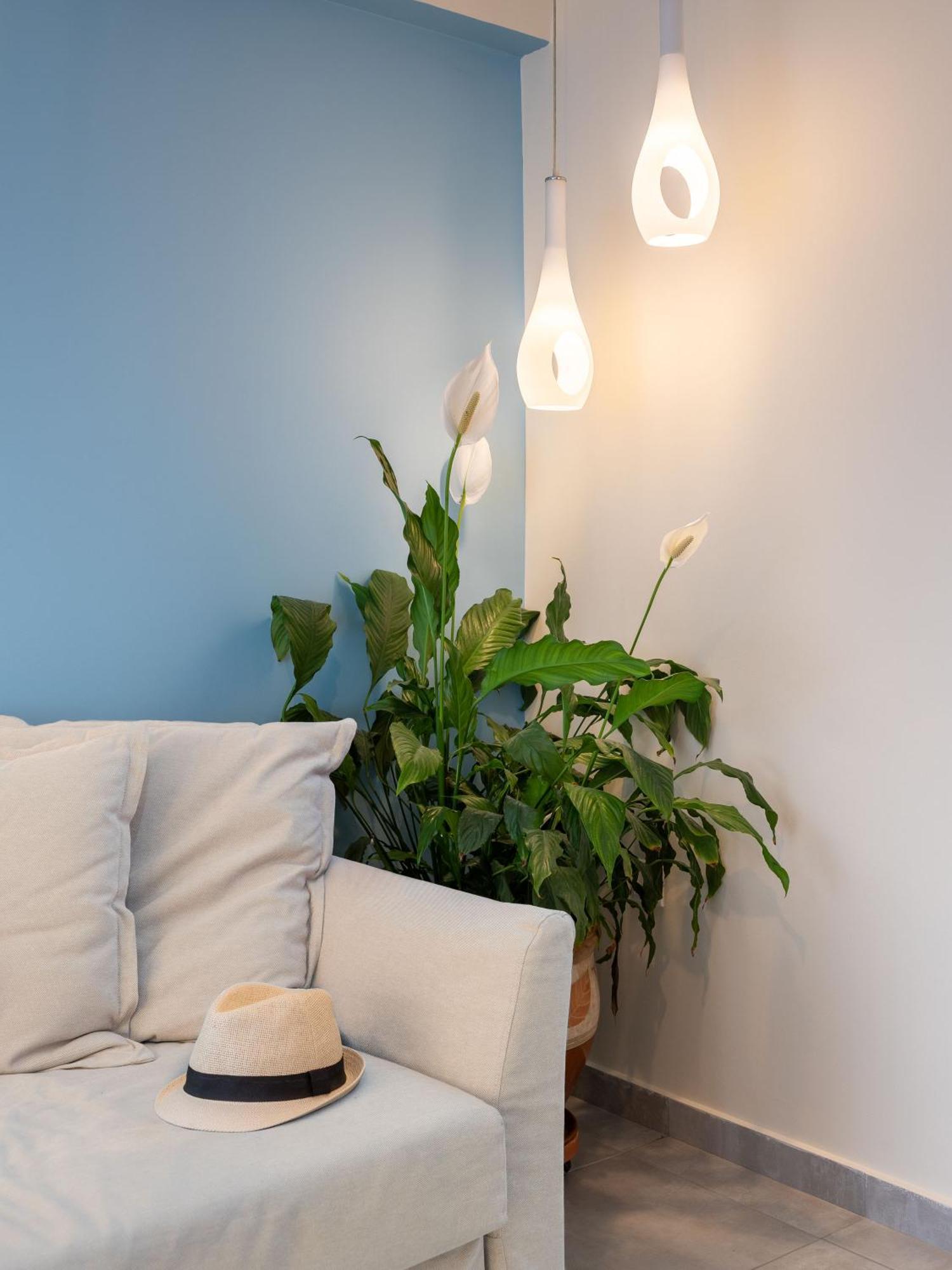 Vouliagmeni Stylish Homes By Blupine * אתונה
